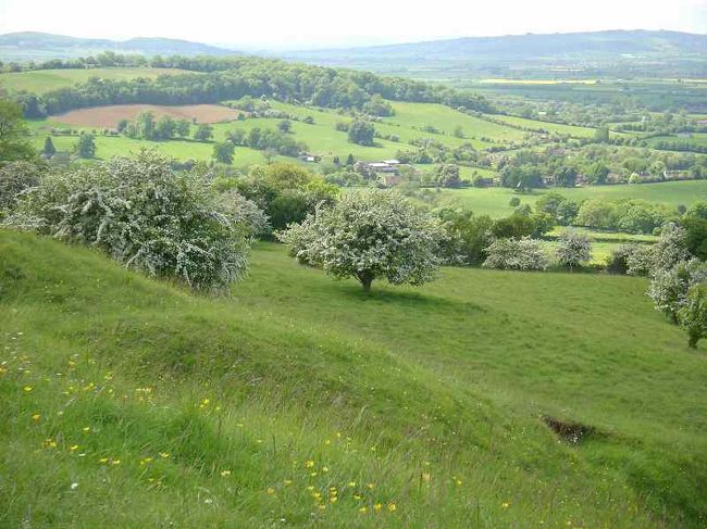 イギリスで最も美しい田舎と言われるコッツウオルズを歩いた。写真で見て想像していたよりもはるかに美しい風景が拡がる、すばらしいところだった。ヨーロッパには何度も出かけているけれど、冬ばかりなので、モノトーンの都会を徘徊するばかりだった。それだけに鮮烈な驚きの連続の毎日だった。ロンドンはとても魅力的な都会だけれど、田舎にはそれにすぐるものがある。イギリスの魅力はカントリーサイドにある、と耳にしたことがあるけれど、全くその通りだ。コッツウオルズで４泊、よく晴れた２日間はフィールドを、天気が良くなかった３日は街を歩いた。<br />(今回の旅行中円高のおかげで£＝140円位でした）