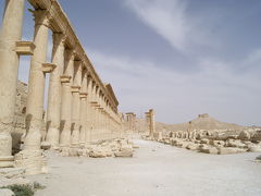 シリア＆ヨルダン旅行記④　パルミラ遺跡の列柱群を見上げる編