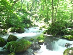 東北　夏祭りの旅　2　～奥入瀬渓流、竿燈祭り編～2008.8.5