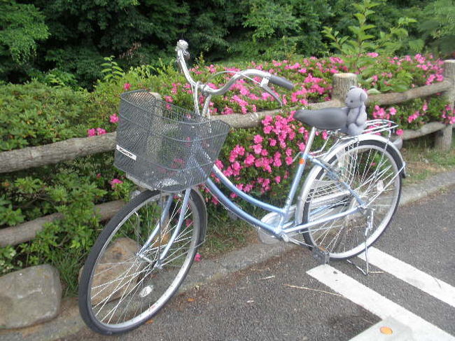 ドーミーイン甲府で借りた自転車花子号と甲府観光。<br />盆地特有の坂道に悩まされつつ、武田信玄関連中心に３時間足らず、ひたすら走りまわったのでした。<br />