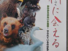 神（カムイ）に会える　釧路市動物園北海道ゾーン