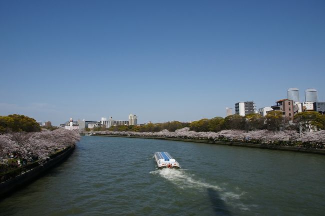 大阪市内観光第一弾<br /><br />桜ノ宮で桜です。<br /><br />桜を見に行きたかったのですが、体調の悪い子がおりましてクルマで行きました。<br /><br />近くにコインパーキングの多い桜ノ宮付近でのお花見です。