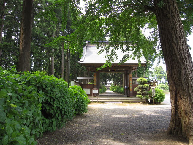 あじさい公園から2,3kmの所に有る日本寺、名前がなんともすごいので足を伸ばしてきました。<br />境内のあじさは、こちらも殆ど咲いていない状況でした。この寺は日蓮宗の本山で、壇林(日蓮宗の僧侶の教育機関)が有り僧侶の教育を行っていたようです。<br />絶好の日和に恵まれ境内を気持よく歩くことが出来ました。