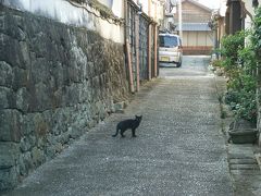 ETC休日高速割引で行く宮崎・大分の旅（5日目：ひむかを歩く）