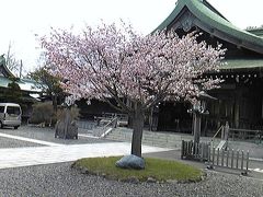 北海道　毛蟹　満腹の旅2010  花の 室蘭八幡宮