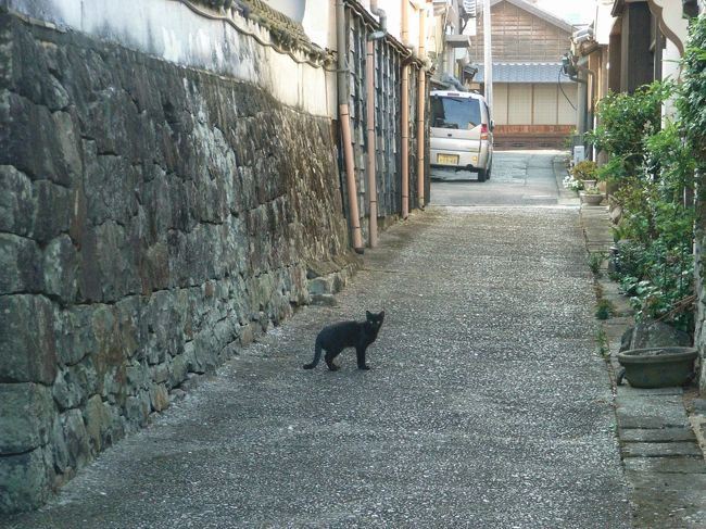 宮崎市内を午前中歩き、食事を済ませ、大分県の佐伯方面に向かう予定。午後の観光の候補地として西都、日向、延岡が浮かんできたが、やはり宮崎県といえば昔は、「日向の国」と言われており、県を代表する地名がついていて、日向地鶏、夏みかんが思い浮かび、のどかで情緒あるところというイメージを持ち、日向を歩くことにした。日向の中心部に行く前に、まずは日向市の南部にある美々津という古い町並みが残る地区を訪ねた。ＪＲ美々津駅に立ち寄りマップでも入手しようと思ったが無人駅で、古い町並みをＰＲしたようなものが何もなく、観光客として自分がいるのが場違いのような気がした。こんな状況なので美々津に対して期待は全くなくなった。せっかく国道から少し入ってきたので、とりあえず地元の人に道を尋ね行ってみたら、情緒ある古い町並みがあり、一旦期待感をなくした分、それだけにまぁ満足できた。その後、日向の中心部に行ったが、自分のイメージと大幅にずれていて単なる整備された小さい街という感じだった。<br /><br />美々津の街並みとネコ（日向市）