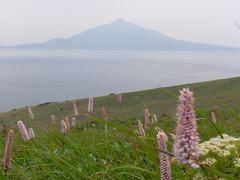 北海道　1　～礼文島編～　2008.7.2-7.3