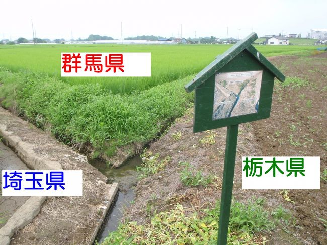 3つの都府県が1ヶ所に交わる点は、<br />全国で48ヶ所あるらしい。<br />三県境。<br /><br />48ヶ所の殆どは、河川の中にあるか、山奥にある。<br />そんな秘境の中で、48ヶ所中のただ1ヶ所のみは、<br />誰でも気軽に行ける平地にある。<br /><br />北緯36度12分26秒<br />東経139度39分52秒<br />(国土地理院地図閲覧サービスより)<br /><br />それが、<br />栃木県<br />群馬県<br />埼玉県<br />の3県の交点。