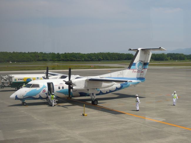 熊本空港到着後、チェックインカウンターに行くと<br />天草エアラインのチェックインはまだ行われていません。<br />日本航空のカウンターを間借りしているようです。<br />隣にはフジドリームのカウンターがあり、フジドリームも<br />日本航空による代行業務です。<br /><br />しばらく、送迎デッキ（大人50円）で飛行機を眺めます。<br />熊本空港からは天気が良ければ阿蘇山を望むことができ、<br />噴煙が上がる様子が見ることができます。<br /><br />出発前1時間前からチェックインが始まりますので、<br />再びカウンターに向かいます。<br /><br />チェックインは、日本航空の係員がラップトップパソコンを<br />持ち込み、代行業務を行っています。<br />支払いの控えを提示してチェックインとなります。<br />天草エアラインは、これまで電話での予約でしたが、<br />今年（2010年）の3月1日からネットで予約できるようになり、<br />ますます便利になりました。<br />チェックインカウンターに搭乗者名簿（英文）が置いてあり、<br />チラッと見ると10名もいないようです。<br /><br />窓側を取っていただき、昼食として熊本ラーメン（700円）を<br />食べにレストランフロアに向かいます。<br />熊本も福岡同様とんこつラーメンですが、福岡とはまた違った<br />とんこつですので、ぜひオススメです。<br /><br />食後は、手荷物検査場を通り、搭乗ゲートに向かいます。<br />ジェイエアもそうでしたが、オープンスポットからの搭乗は<br />一番端のゲートになります。<br /><br />ゲートに行くと、既にイルカが到着していました。<br />搭乗が始まると、ゲートで搭乗券をもぎってもらい、<br />階段またはエレベーターで1階に下ります。<br /><br />エプロンに出て飛行機まで歩いて向かいます。<br />ふと搭乗客用の傘が置いてあるのを見ると『日本エアシステム』<br />のもの。<br />日本エアシステムの傘をいまだに使っているみたいです。<br /><br />格納式のタラップを上がり機内へ。<br />飛行機はボンバルディアDHC-8-100型です。<br />100型は初搭乗です。<br />100型独特のボックスシート、後方は横5列です。<br /><br />そして機内はQ400型のように長くありませんので、とても<br />こぢんまりとしていています。<br /><br />搭乗が終わるとすぐにドアクローズ。<br /><br />滑走路を軽々と離陸し、左に旋回しながら熊本空港を左下に<br />見ながら上昇を続けます。