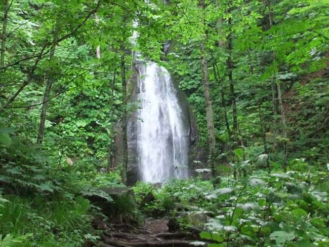 奥入瀬・十和田湖・八戸<br />６月２１日（月）<br />１０：０２　上野発　はやて１３号　２０番線発（大宮・仙台・盛岡・二戸停車）<br />１２：５９　八戸着<br />１３：１５　送迎バス　西口<br />１４：４５　奥入瀬渓流ホテル着<br /><br />６月２２日（火）<br />０６：００　渓流で朝食を（１５７５円）バス送迎あり<br />０６：２０　雲井の滝到着　自由散策（６０分）<br />０７：１５　石ケ戸の瀬着　朝食<br />０８：００　石ケ戸発<br />０８：１５　ホテル着<br />１２時前チェックアウト<br />１１：４８　バス停　焼山発　おいらせ２３号（６６０円）<br />１２：２０　子ノ口着<br />子の口湖畔食堂　ひる　稲庭ざるうどん８５０円<br />１３：００　十和田湖遊覧船（３０分おき　遊覧時間５０分）<br />１３：５０　十和田湖駅着　乙女の像・十和田神社　<br />１５：２０　バス停　十和田湖駅発　おいらせ２６号<br />１６：３０　奥入瀬ろまんパーク　トイレ休憩<br />１７：３５　八戸駅西口着