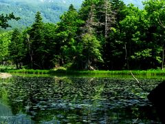 道東-10　知床五湖* 1湖/2湖を旧道で周遊　☆ヒグマが出没中！