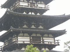 ２０１０　憧れの奈良行−３　平成の大修理　薬師寺　三重塔初層　一般公開−１　しばらくのお別れ