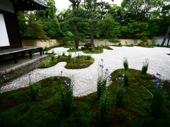 雨男・雫の足跡探し(蘆山寺編) 