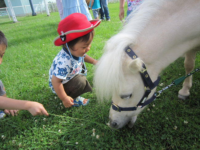 １歳児を連れて競馬！？<br /><br />ちょっとギョッとされる方もいるかもしれませんが・・・<br /><br />いえいえ、ギャンブルをしに行ったのではありません。<br /><br />『ミニチュアホースとのふれあい』に行って来たんです。<br /><br /><br />あたし自身、競馬場ってあまりクリーンなイメージがなくて、誘われなかったら、踏み込むことはない場所だったと思うんですけど・・・<br /><br /><br />行ってみたら意外に意外に、子連れが多くてびっくり！<br /><br />しかも、キレイな授乳室に、子供が遊ぶための公園、キッズスペースなんかもちゃ〜んとあって、けっこう良かったです。<br /><br />入場料100円（15歳未満は無料）なので、ふだんから遊びに連れてきても良いかも♪なんて思っちゃいました。<br /><br /><br /><br /><br /><br />