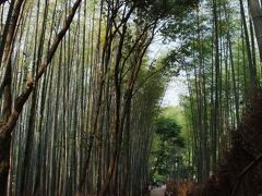 京都竹林ぶらぶら歩き