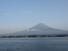 富士山周辺でバードウォッチング [2010](1)