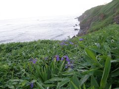 10年夏　道東1日紀行：釧路の海辺～湿原～屈斜路湖へ　トラベラー「ジュニア」とオフ会？