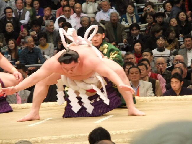 *大阪三月場所 大相撲*2010<br /><br />どういった訳なのか<br />会社から見学メンバー選ばれて、大阪の三月場所(枡席)の見物に行ってきました。<br />2010年7月に入ってから某問題などで揺れに揺れている相撲界。<br />自分でなかなか行かない世界だと思っていたので、興味深い経験をさせて貰いました。<br />会長どうもありがとうございました。<br /><br /><br />会社より見学メンバーに選ばれて理由(?)<br />会長>こないだ宝塚歌劇つれて行けなくてごめんね~<br />私> いいです、お気になさらないでください。会長しか行けない席だったのですから(私、本当は行きたかったのでがっかりです。笑)<br />会長>その代わり、大相撲連れていくから<br />私>えっ!そうなんですか~嬉しいです☆<br /> (タカラヅカと相撲ぜんぜん違う!?<br /> でも初めてだから楽しそう!)<br /><br />ところで、ところで「升席(ますせき)」ってナニ?<br />と言うところから超初心者の私。<br />お恥ずかしい~。しかも「マツセキ」と思っていました。<br /><br />そんなわけで行ってきました。<br />大阪三月場所 大相撲 升席です^0^<br /><br /><br />☆☆☆お茶屋さんは「やぐら」さん<br />☆☆☆たたみ2畳程に4人座ります。<br />女性3名+男性1名でも結構狭かったです。<br />段々畑の様になっていて、後ろの人の足元に荷物を置けるスペースあり(私達の枡席は)。<br />持ち切れないほどの土産付きで11.6万ほどでした。(枡A席)<br />☆☆☆やぐらさん→http://ouzumou.com/index.html<br /><br /><br /><br />