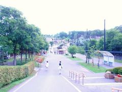 初夏の北海道　旭山動物園編