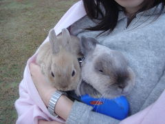 《2006年10月》安倍川お散歩会（静岡県）