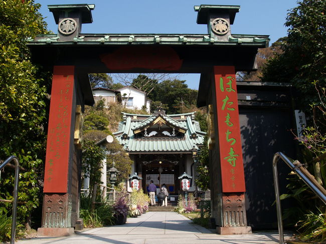 　鎌倉市大町にある常栄寺は日蓮宗の寺で、慧雲山常栄寺というが、通称ぼたもち寺と呼ばれている。寺の門柱には「ぼたもち寺」と書かれているが、本道前の提灯には「牡丹餅寺」と漢字で書かれている。囚われの身になった日蓮上人が龍ノ口の刑場に送られる途中、桟敷の尼が仏の加護を願いごまのぼた餅を献上したところ、奇蹟が起き日蓮は難を逃れその後佐渡に流罪となったと言われている。<br />　寺の裏山は源頼朝が由比ヶ浜を眺めるための桟敷を設けたところでもある。今なら、八雲神社から裏山を登った祇園山ハイキングコース反対側にある山の頂に祇園山見晴台（展望所）があり、比ヶ浜を一望できる。天気が良ければ、伊地半島や三浦半島ばかりではなく、富士山も望める。<br />　寺の正面からの景色は四季を通じてほとんど変わりがない。年末年始にだけ門に門松が飾られ、「龍口寺 初詣」と書かれたポスターが貼られて写真を見て季節が分かるだけのようだ。<br />（表紙写真は常栄寺（ぼたもち寺））