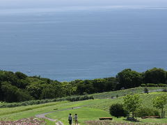 あわじ花さじき 2010 夏