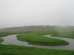 雨、雨、雨の＜雨竜沼湿原＞