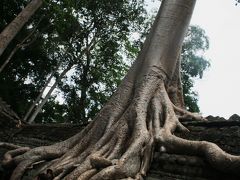 ②　カンボジア一人旅　【タ・プローム編】