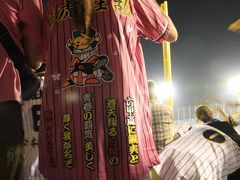 首位が見えたぞタイガース　ヤクルトVS阪神　大勝利の野球観戦
