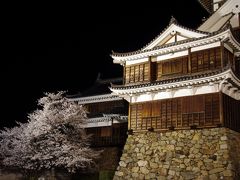 綾部　福知山　舞鶴　桜　百景