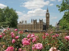 ロンドン滞在記①（国会議事堂周辺）