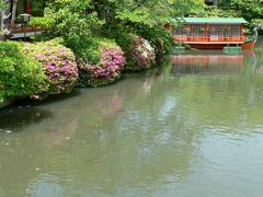 日本の旅　関西を歩く　京都、風水で築かれた平安京の龍の「水飲み場」だった神泉苑