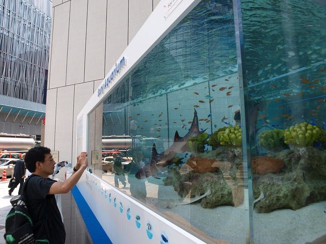今年もソニービルでは「３Ｄ美ら海水族館」が始まりました。<br /><br />ソニーＨＰ<br />http://www.sonybuilding.jp/aqua10/<br /><br />義臣　関連旅記<br />２００９　銀座でサメが泳いでる<br />http://4travel.jp/traveler/jiiji/album/10358379/<br /><br />協力した　沖縄美ら海水族館　関連　旅記<br />２００７　花咲く　沖縄　美ら海水族館ー１<br />http://4travel.jp/traveler/jiiji/album/10125604/<br />２００７　花咲く　沖縄　美ら海水族館ー２<br />http://4travel.jp/traveler/jiiji/album/10125794/<br />２００７　花咲く　沖縄　美ら海水族館ー３<br />http://4travel.jp/traveler/jiiji/album/10126006/