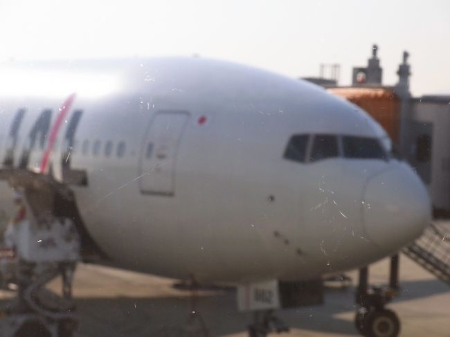 伊丹空港のラウンジや通路からでもガラス越しに飛行機が見られます。