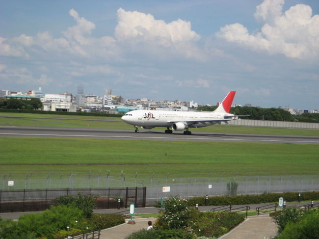 大阪伊丹空港のある、伊丹スカイパークへ行ってきました。