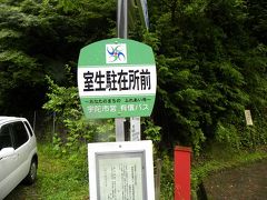 ２０１０　憧れの奈良行ー７　心の室生寺 　下