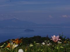 ゲレンデに咲く百合～びわこ箱館山ゆり園～