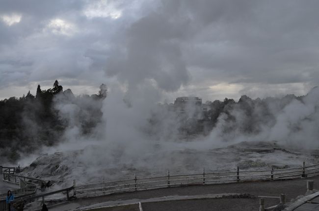 　2010年7月16日から20日にかけて、職場の旅行でニュージーランドへ行ってきました。<br />　こちらは真夏、ニュージーランドは冬、この時期はたぶん閑散期なのでしょうが、ニュージーランドは思ったほど寒くありませんでした。<br />　昼食の後、ロトルアへ向かい、間欠泉等を見学してから初日はロトルアで宿泊です。