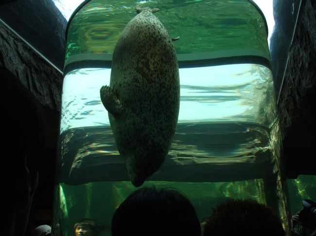 ≪国内逃走９≫→北海道…５日目（特別編）旭山動物園