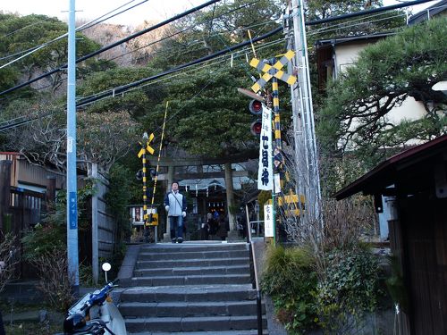 鎌倉御霊神社（鎌倉権五郎神社）－2010年正月』鎌倉(神奈川県)の旅行記