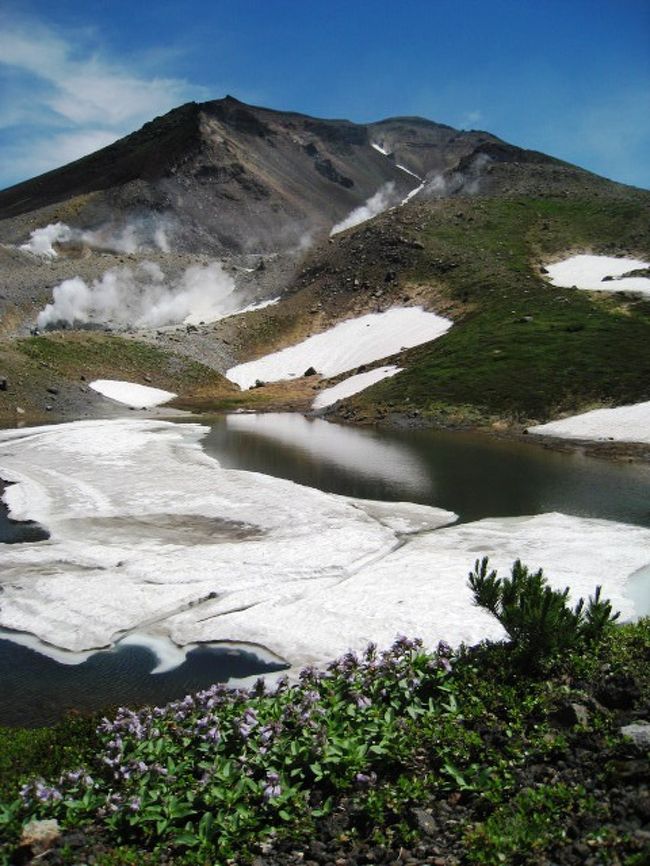 夏の大雪山 旭岳周辺をお散歩 旭岳 天人峡 白金 北海道 の旅行記 ブログ By Rokoさん フォートラベル 夏の大雪山 旭岳周辺をお散歩 旭岳 天人峡 白金 北海道 の旅行記 ブログ By Rokoさん フォートラベル
