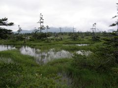 10年7月　大雪山「天上の楽園」日帰りトレッキング×3　3日目　沼の原湿原は雨模様