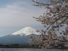 富士山と桜　2010