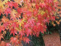 神戸・京都　４日目（宇治・嵐山）