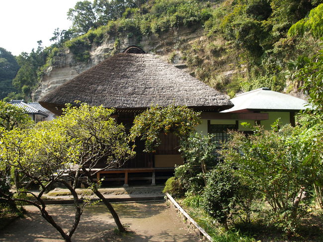 　鎌倉市十二所にある五大堂明王院は真言宗御室派の寺であり、飯盛山寛喜寺明王院という。嘉禎3年（1231年）に鎌倉四代将軍藤原頼経が「鎌倉鬼門除け」祈願寺の建立を発願し、文暦2年（1235年）五大堂明王院寛喜寺として、京都東寺から定豪律師を迎えて開山した。不動明王を中心として降三世明王、軍茶利明王、金剛夜叉明王、大威徳明王の五大明王を奉る霊場である。<br />　天園ハイキングコースの登り口にある寺であり、裏山がハイキングコースになっている。しかし、登り口は分かり難いだろう。<br />　「境内にて写真撮影禁止」の立て札が立っているために写真は撮れなかったが、残念なことに、鉄骨の鐘楼は萱葺き屋根の本堂や客殿の伽藍には似合わない。<br />（表紙写真は五大堂明王院）