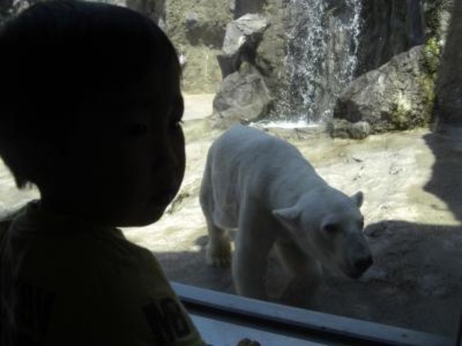 ２泊３日という短い日程でしたが、札幌からレンタカーで旭山動物園に行きました。<br />札幌では札幌場外市場や白い恋人、ラーメン共和国、すすきのに行ってきました。<br />３歳の子供も一緒にとても楽しめた旅でした。<br />ホテルはニューオータニでした。