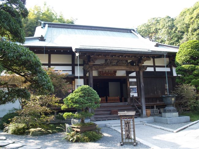 鎌倉市浄明寺にある報国寺(竹寺)へ出かけた。緑が多くあり、しっとりとした感じの寺である。孟宗の竹林に比べたら本堂裏の庭園はさほど広くはないが、小いさな池もあり、白砂も敷かれ、枯山水のような雰囲気も醸しだしている。<br /> 報国寺で開門前にトイレを借りた。鎌倉の寺社境内には鎌倉市が設置して管理している公衆トイレがあるが、ここ報国寺のトイレは新しく、立派であり、こうした市が設置・管理している公衆トイレでは1ランクは上にある。<br />(表紙写真は報国寺本堂)