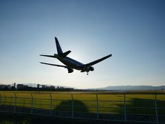 2010.06伊丹空港飛行機見物