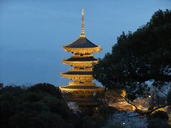 京都の桜を見に行こう　２０１０（東寺・仁和寺・常照皇寺）