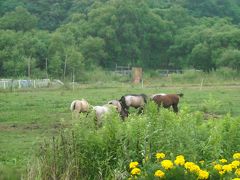 ２０１０夏休み・札幌近郊の旅・★札幌到着→北広島クラッセホテルチェックイン編★